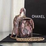 CHANEL model 24313mini cover bag