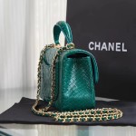 CHANEL model 24313mini cover bag
