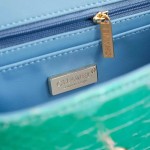 CHANEL model 24313mini cover bag