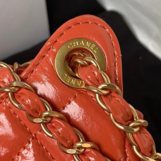 CHANEL saddle bag model number AS3867