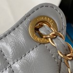 CHANEL saddle bag model number AS3867