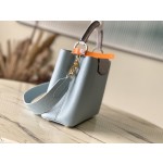 𝐋𝐎𝐔𝐈𝐒𝐕𝐔𝐈𝐓𝐓𝐎𝐍 N80741 Haze Blue with Exotic Snake Skin Gold Button