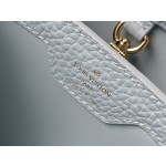 𝐋𝐎𝐔𝐈𝐒𝐕𝐔𝐈𝐓𝐓𝐎𝐍 N80741 Haze Blue with Exotic Snake Skin Gold Button