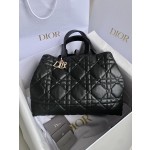 DIOR Toujours travel bag 9233
