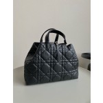 DIOR Toujours travel bag 9233