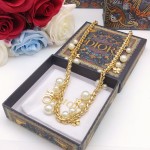Dior  项链