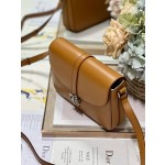 Dior Men 24 Spring/Summer Men's Bag "Brown" Model: 051