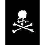 MMJ's latest skull logo