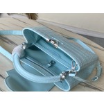 LOUIS VUITTON M48865 Blue Crocodile Silver Button
