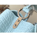 LOUIS VUITTON M48865 Blue Crocodile Silver Button