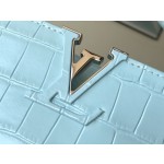 LOUIS VUITTON M48865 Blue Crocodile Silver Button