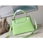 LOUIS VUITTON M48865 Green Crocodile Silver Button
