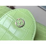 LOUIS VUITTON M48865 Green Crocodile Silver Button