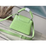 𝐋𝐎𝐔𝐈𝐒𝐕𝐔𝐈𝐓𝐓𝐎𝐍 M48865 green crocodile pattern silver buckle