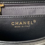 CHANEL 23B New CF AS4289 Panda Vintage