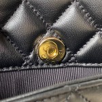 CHANEL 23B New CF AS4289 Panda Vintage