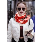 LOUIS VUITTON Pumpkin Print Long Scarf
