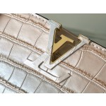 𝐋𝐎𝐔𝐈𝐒𝐕𝐔𝐈𝐓𝐓𝐎𝐍𝐍𝐍𝐈𝐒𝐕𝐔𝐈𝐈𝐓𝐓𝐎𝐍𝐍119865