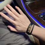 Louis Vuitton Bracelet