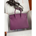Birkin 25cm Epsom Leather Anemone Purple Silver Buckle
