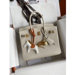 Birkin 25cm Epsom Leather Milkshake White Gold Buckle