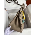 Birkin 25/30/35cm Imported Togo Leather Turtle Grey Gold Buckle