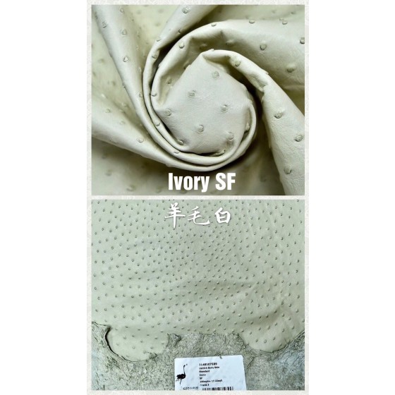 Hermes production of exclusive leather contact customer service custom South African wild ostrich skin:3C Wool White