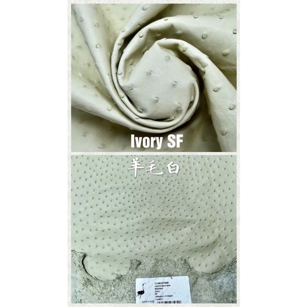 Hermes production of exclusive leather contact customer service custom South African wild ostrich skin:3C Wool White