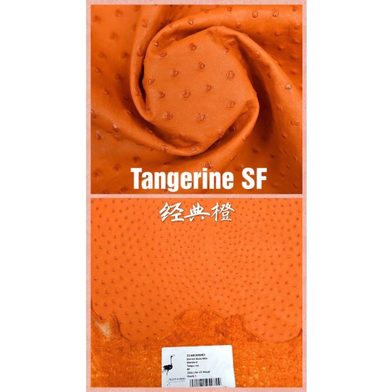 Hermes production of exclusive leather contact customer service custom South African wild ostrich skin:93 Classic Orange