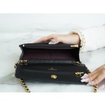 CHANEL 𝑾𝒐𝒄 Fat Choi Bag Entry Classic 𝑾𝒐𝒄𝒄 (Magnetic Closure) Black Sheep Gold🐑