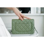 CHANEL 𝑾𝒐𝒄 Hairy Bag Entry Classic 𝑾𝒐𝒄𝒄𝑾𝒐𝒄 (Magnetic Closure) (Lambskin) Matcha Green