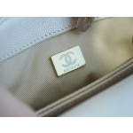 CHANEL 𝑪𝒐𝑪𝒐 𝒉𝒂𝒏𝒅𝒍𝒆 New Cowhide Handle 𝗠𝗶𝗡𝗶𝗡𝗶 Pearlescent White