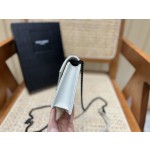 SAINT LAURENT 𝐖𝐨𝐜 𝟭𝟵𝐜𝐦 #393953 original leather.JD