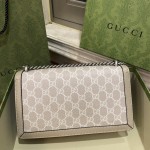 GUCCI Dionysus Dionysus 25 (oatmeal original leather) #499623