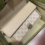 GUCCI Dionysus Dionysus 25 (oatmeal original leather) #499623