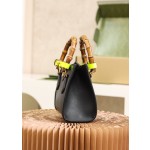 GUCCI  𝐃𝐢𝐚𝐧𝐚 𝐌𝐢𝐧𝐢 #655661