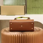 GUCCI 𝐃𝐢𝐚𝐧𝐚 𝐌𝐢𝐧𝐢 #655661