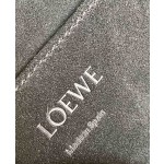 LOEWE latest military messenger bag