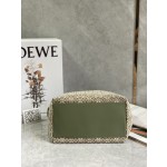 LOEWE cubi bento bag