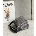 LOEWE cubi bento bag