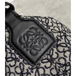 LOEWE cubi bento bag