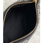 LOEWE cubi bento bag