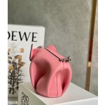 LOEWE Luojia pink elephant 🐘 shoulder bag