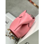 LOEWE Luojia pink elephant 🐘 shoulder bag