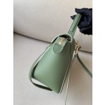 𝐂𝐞𝐥𝐢𝐧𝐞 Belt Bag Catfish Bag Small Grained Calfskin