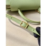 𝐂𝐞𝐥𝐢𝐧𝐞 Belt Bag Catfish Bag Small Grained Calfskin