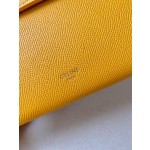 𝐂𝐞𝐥𝐢𝐧𝐞 Belt Bag Catfish Bag Small Grained Calfskin