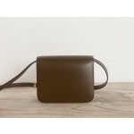 𝐂𝐞𝐥𝐢𝐧𝐞 Box Teen bag in polished calfskin