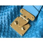 𝐋𝐎𝐔𝐈𝐒 𝐕𝐔𝐈𝐓𝐓𝐎𝐍    M22325