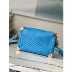 𝐋𝐎𝐔𝐈𝐒 𝐕𝐔𝐈𝐓𝐓𝐎𝐍   M46358